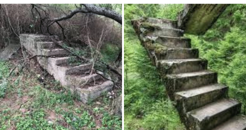 staircases in the woods